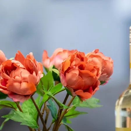 Appartement Flora Lak Sopron